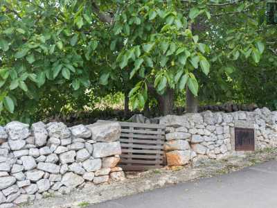 Protetto dall'onnipresente muretto a secco c'� anche un rigoglioso frutteto